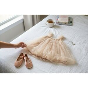 Bluish Baby Avery Tutu 12-24M‎ Pink Butterfly Tulle Dress Special Edition Dance